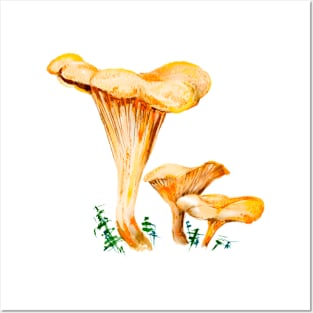 mushroom Posters and Art